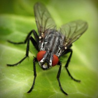 /album/ofis-mobilyas%c4%b1/photolia-a01-jpg/