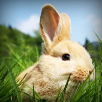 /album/ofis-mobilyas%c4%b1/photolia-a03-jpg/