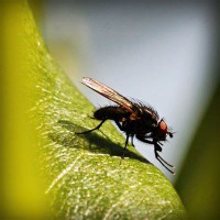 /album/ofis-mobilyas%c4%b1/photolia-a04-jpg/