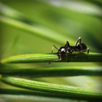 /album/ofis-mobilyas%c4%b1/photolia-a05-jpg/