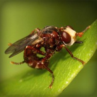 /album/ofis-mobilyas%c4%b1/photolia-a06-jpg/