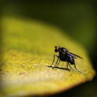 /album/ofis-mobilyas%c4%b1/photolia-a07-jpg/