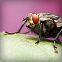 /album/ofis-mobilyas%c4%b1/photolia-a08-jpg/